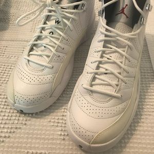 Retro Jordan 12 rising sun